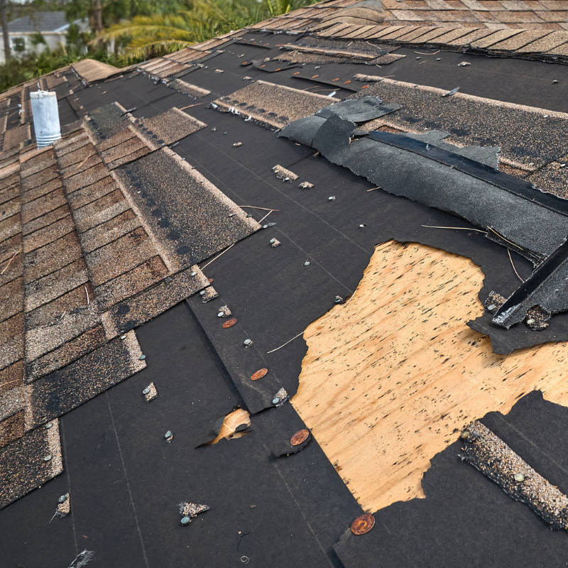 new roof and gutters needed in Appleton, Wisconsin, shingles roof in northeast Wisconsin