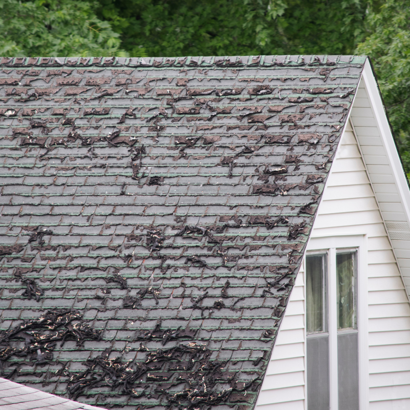 new roof needed in Appleton, Wisconsin, shingles roof in northeast Wisconsin