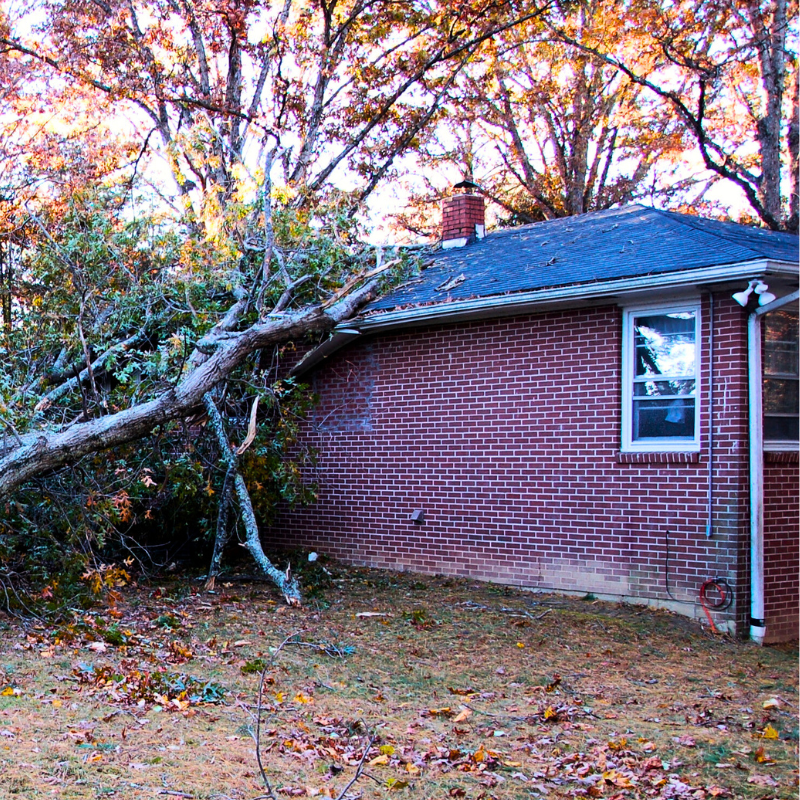 Storm Damage roofer needed to help repair in Appleton, Wisconsin, local roofer