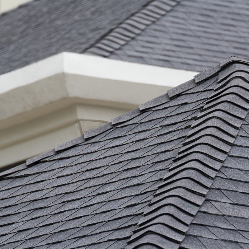 new roof and gutters needed in Appleton, Wisconsin, shingles roof in northeast Wisconsin